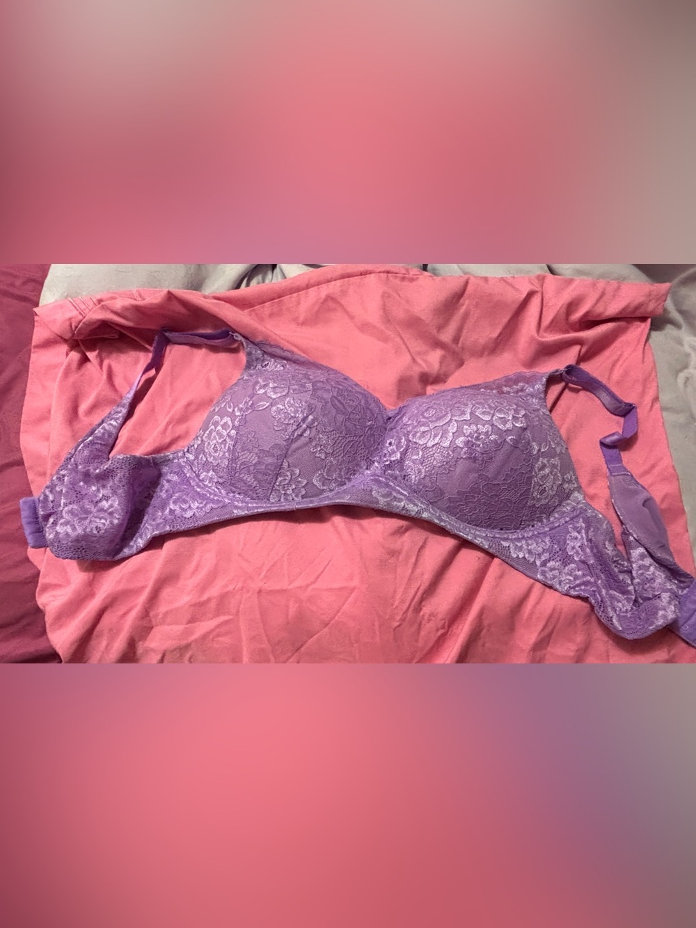 torrid Lavender Lace Dream wire-free push up bra 40c